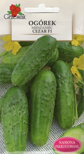 img20250218_18310679 — kopia.jpg