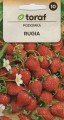 img20250320_22405405 — kopia.jpg