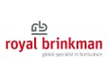 royal_brinkman_logo_sklep ogrodniczy kwiateo.jpg
