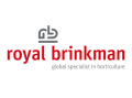 royal brinkman logo 2025 kwiateo.jpg
