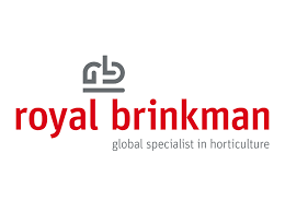 royal brinkman logo 2025 kwiateo.jpg