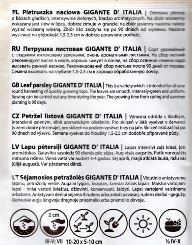 pietruszka naciowa  gigante de italia smaczna plenna gładkiw liście sklep ogrodniczy kwiateo foto.jpg