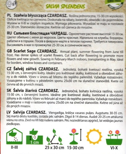 szałwia czerwona ozdobna nasiona jednoroczna czardasz nektar w kwiatch sklep ogrodniczy kwiateo opis.jpg