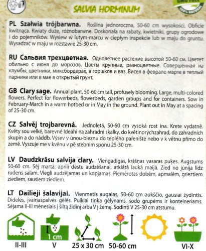 szałwia trójbarwna miks kolorów nasiona roślina ozdobna różne kolory sklep ogrodniczy kwaiteo opis.jpg