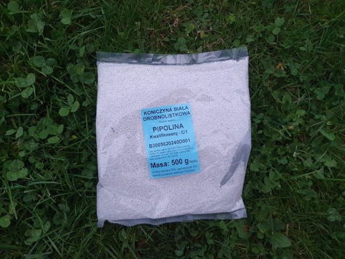 mikrokoniczyna nasiona otoczkowane Pipolina koniczyna drobnolistna wsiewka do trawnika czyste nasiona zaszczepione bakteriami pozytywnymi sklep ogrodniczy kwiateo jakość ogrodnik trawniczek.jpg