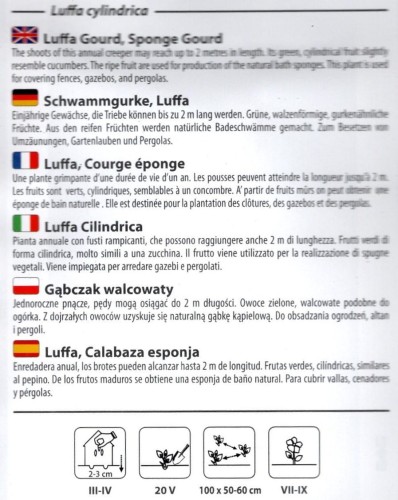 luffa cilindrica lufa gąbczak walcowaty  jajowaty naturalna gąbka nasiona do wysiewu jednoroczne pnącze ogrodowe sklep ogrodniczy kwiateo_pl ogrodnik opis uprawy.jpg