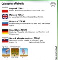 Nagietek żółty nasiona Tokaj sklep z nasionami ogrodniczy Kwiateo roślina miododajna opis uprawy.jpg