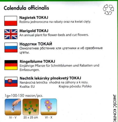 Nagietek żółty nasiona Tokaj sklep z nasionami ogrodniczy Kwiateo roślina miododajna opis uprawy.jpg