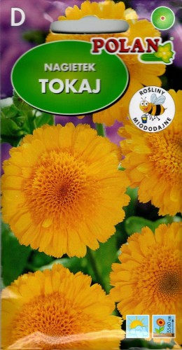 NAGIETEK LEKARSKI żółty (Calendula officinalis) nasiona