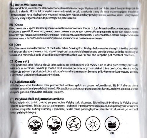 owies wielkanocny do wysiewu do siania nasiona nasionka owsa tradycja ogrodnik ogrodniczy polska wysyłka kurierem i do paczkomatu kwiateo poznań warszawa bieszczady śląsk pl uprawa.jpg