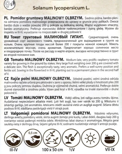pomidor malinowy olbrzym nasiona do wysiewu wysiew nasion sklep ogrodniczy kwiateo wielkie owoce smaczny czerwony uprawa.jpg