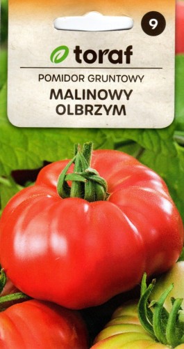 POMIDOR MALINOWY OLBRZYM nasiona do wysiewu OWOCE BARDZO DUŻE malinowe średnio-późny gruntowy silnie rosnący uprawa warzywa