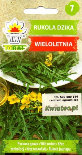 RUKOLA dzika WIELOLETNIA nasiona do zbioru wielokrotnego na listki dodatek do sałatek pikantna