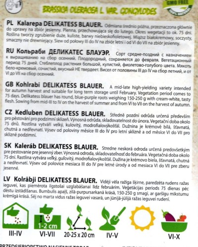kalarapa delikates blauer kalarepka fioletowa smaczna nasiona uprawa