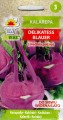 kalarapa delikates blauer kalarepka fioletowa smaczna nasiona