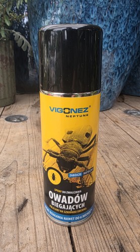 Vigonez spray na szkodniki drewna korniki owady biegające przeciw kornikom szkodnikom drewna w drewnie pl.jpg