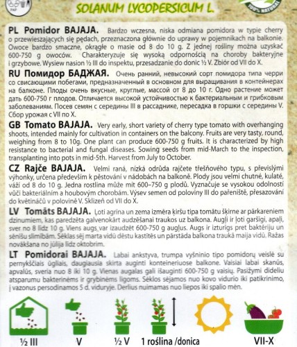 pomidor koktailowy czerwony niski Bajaja drobnoowocowy drobny smaczny plenny nasiona sklep ogrodniczy Kwiateo ogrodnik poleca opis odmiany uprawa.jpg