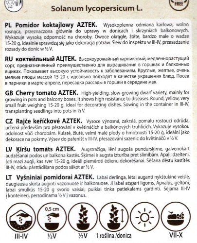 pomidor koktailowy żółty niski Aztek drobnoowocowy drobny smaczny plenny nasiona sklep ogrodniczy Kwiateo ogrodnik poleca opis uprawy odmiana uprawa.jpg
