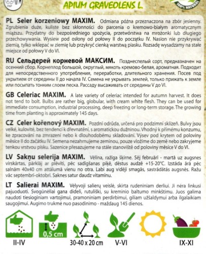 seler korzeniowy duży MAXIM późny plenny nasiona sklep z nasionami kwiateo uprawa opis odmiany.jpg