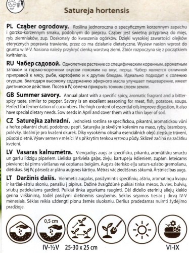 cząber nasiona czaber ogrodowy nasiona do siewu sklep nasion kwiateo online opis uprawa.jpg