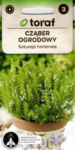 CZĄBER OGRODOWY (Satureja hortensis) przyprawa nasiona ziół