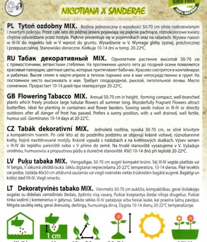 tytoń ozdobne miks kolorów kolory mix nasiona sklep nasion online kwiateo opis uprawy.jpg