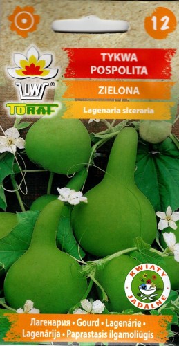 tykwa zielona ozdobna nasiona do wysiewu kwiaty jadalne sklep ogrodniczy z nasionami kwiateo pl.jpg
