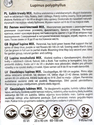 łubin trwały wieloletni nasiona do wysiewu sklep ogrodniczy z nasionami kwiateo pl opis uprawy uprawa mieszanka kolorów.jpg