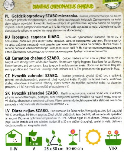 goździk szabo chabaud gożdzik nasiona do wysiewu mieszanka kolorów odmian jednoroczny sklep z nasionkami kwiateo pl ogrodnik poleca opis uprawy.jpg