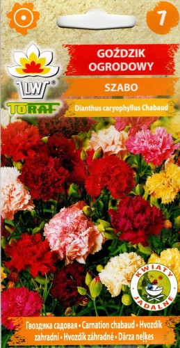 GOŹDZIK OGRODOWY 'Chabaud' (Dianthus caryophyllus) - nasiona SZABO kolory kolorowy miesznka