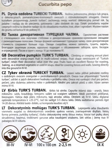 dynia ozdobna sułtański turecko turban nasiona różne kształty kolrowa w paski urocza nasiona do wysiewu sklep ogrodniczy kwiateo ogrodnik poleca opis uprawy.jpg