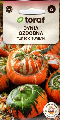 DYNIA OZDOBNA Sułtański Turecki Turban dekoracyjna- nasiona