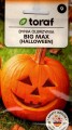 dynia olbrzymi big max bigmax maks typ halloween helołin halowen nasiona duże wielkie owoce ok 20kg owoce sklep z nasionami online internet kwiateo do wycinania i jedzenia.jpg