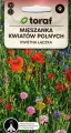 miszanka kwiatów polnych nasiona do wysiewu wieloletnie i jednoroczne rozsiewające się kwietna kwiatowa łąka nasionka kwiateo sklep z nasionami.jpg