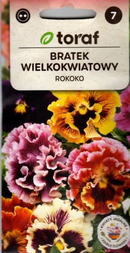 bratek wielkokwiatowy rokoko rococo duże kwiaty miks kolorów nasiona sklep z nasionkami kwiateo ogrodnik rekomenduje.jpg