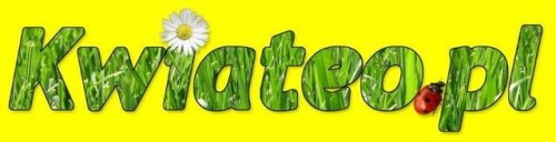 89a28fa113ecbf42ba567a3e2c93792c