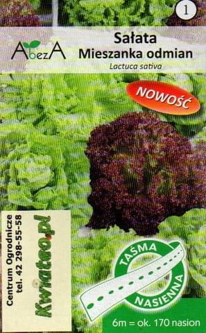 SAŁATA mieszanka odmian MASŁOWA KRUCHA kolorowa kolory w taśmie 6 metrów 6mb 170nasion TAŚMA nasienna nasiona