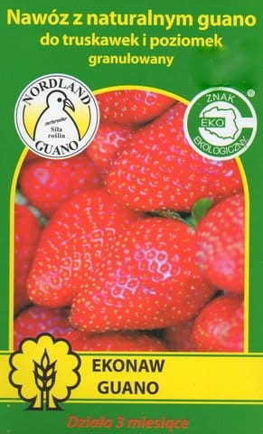 Guano TRUSKAWKA POZIOMKA 1kg nawóz do truskawek poziomek ekologiczny naturalny