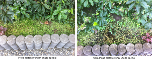 29f2ae6e774272f2bf405b70275fbacc