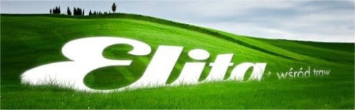 938b6bde4191361b7ff7c8fc266c3531