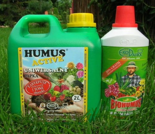 HUMUS ACTIVE PAPKA 2l + BIOHUMUS 0,5l zestaw UŻYŹNIACZ  zamiast obornika