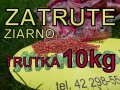 0b178d190014667a161a1f3048991287