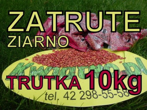 a9336c6301fe4d8a13fd9b9f32a64418