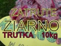 731ab50399200edc8265da6a0a426d05