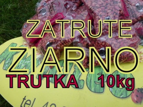 731ab50399200edc8265da6a0a426d05