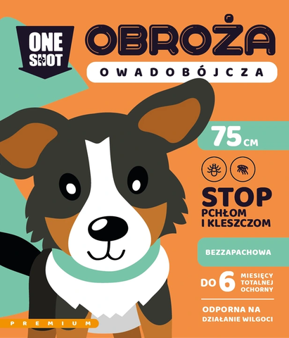 970aefda514a9c38f69ed06240c9d850