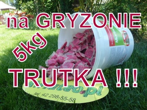 68bf71f7108d76fbcadcb9476d4c26d3