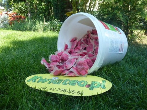 957f13b387c447e273b24450f455db00