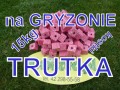 558798d8c80e2e93d136db91b1f4fc5d