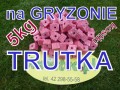 21ee38eda0c799fd5303c8a0896265eb